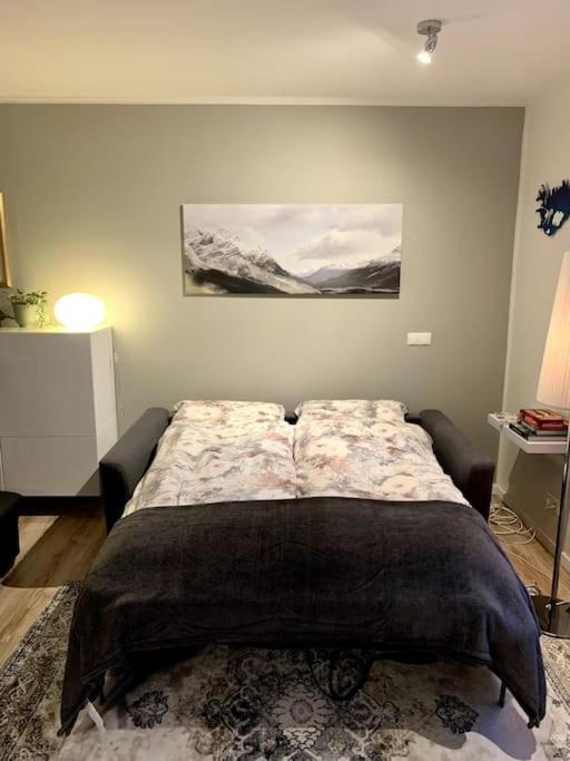 Cosy One Bedroom Apartment In Reykjavik Reiquiavique Exterior foto